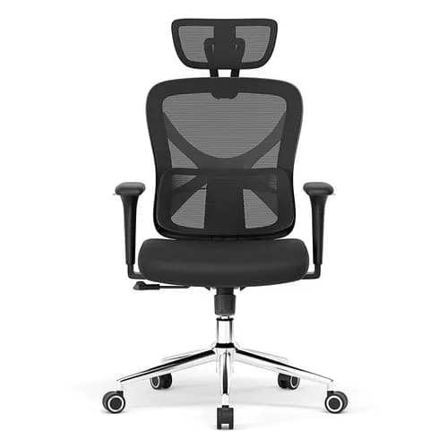 ACGAM CG-5345M ergonomski uredska stolica with 3D Armrest & Mesh Back